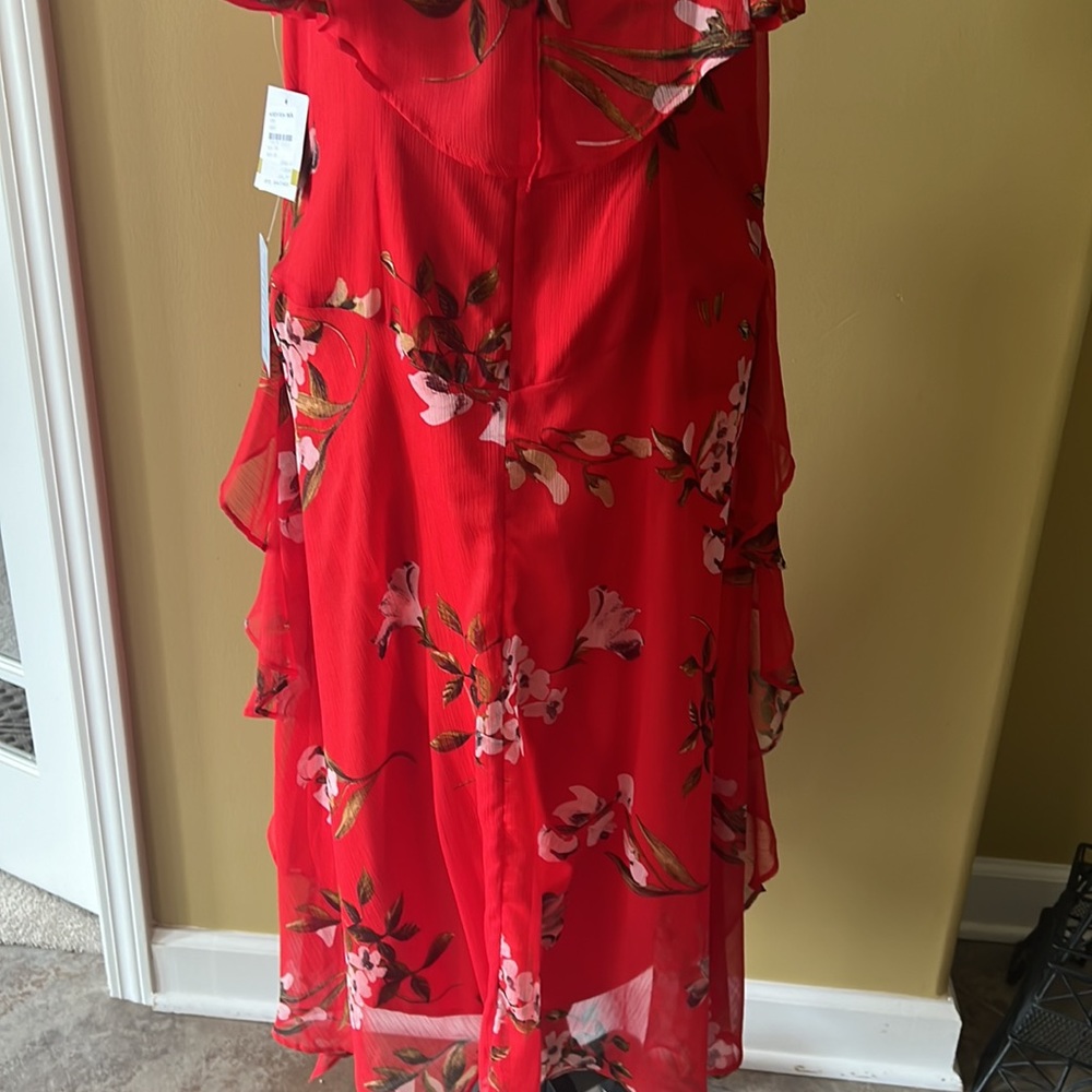 Taylor - Picture 7 of 11